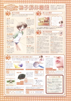 Page 28 of Canvas Sepia iro no motif Visual Fan Book