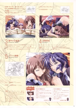 Page 22 of Natural 2 Duo Visual Fan Book