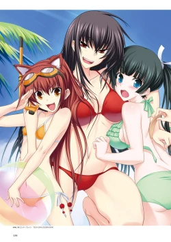 Page 136 of Maji de Watashi ni Koi Shinasai Visual Fan Book