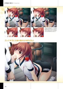 Page 96 of Maji de Watashi ni Koi Shinasai Visual Fan Book