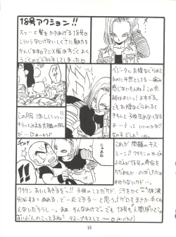 Page 15 of Replicate