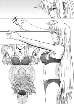 Page 9 of 19→o3 VerF