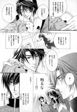 Page 215 of b-BOY Phoenix Vol.3 Tsundere Tokushuu