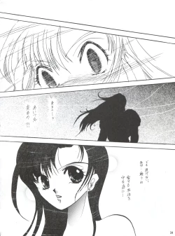 Page 33 of Hanjuuryoku XVI