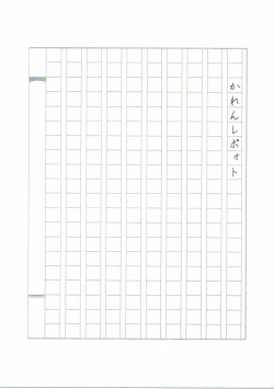 Page 4 of Karen Report