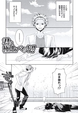 Page 135 of Renai Rettousei no Ecchi Keikaku