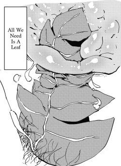 Page 13 of The Weeny Corrections Manual