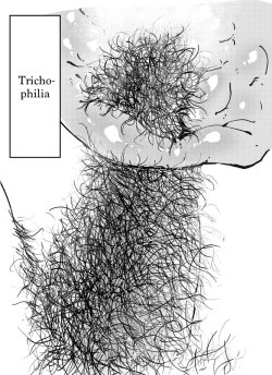 Page 19 of The Weeny Corrections Manual