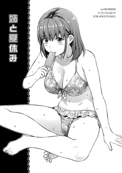 (C90) [LV.X+ (Yuzuki N Dash)] Ane to Natsuyasumi [Chinese] [义军AneMoe]