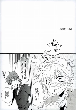 Page 17 of Hatsudori Document