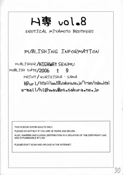 Page 29 of HErotical Miyasato Bros.