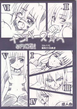 (SC37) [Take Out (Zeros)] Numbers e Youkoso (Mahou Shoujo Lyrical Nanoha)
