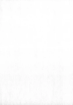 Page 229 of HonFu Vol.1