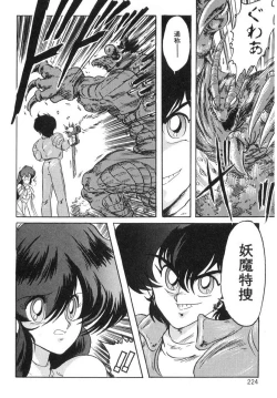 Page 223 of Seirei Tokusou Fairy Saber