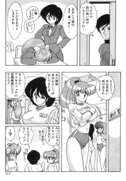 Page 312 of Seirei Tokusou Fairy Saber