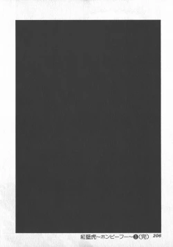 Page 209 of HonFu Vol.3