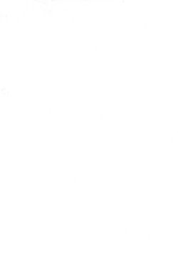 Page 4 of P.P.Plan 4