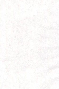 Page 3 of Tamanegibatake 1+2+