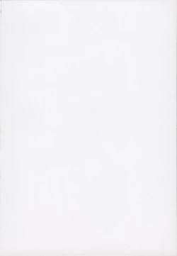 Page 2 of Noro Chizu 2