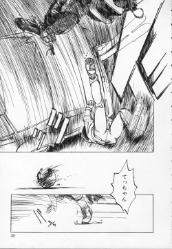 Page 36 of ZONE 9000