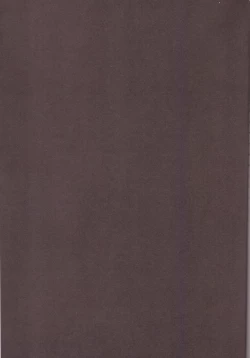 Page 4 of Tsuma koi2