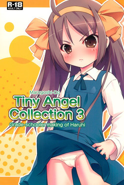 Download Tiny Angel Collection 3