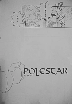 Page 4 of Polestar