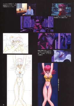 Page 23 of VIPER Series Official Artbook IV