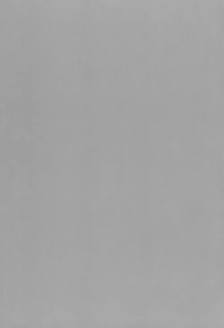 Page 24 of Ps SHIBURIN