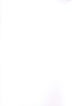 Page 2 of Kira Mina Escalation