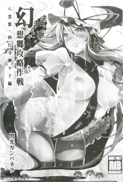 Page 79 of Gensoukyo Kouryaku Sakusen Soushuuhen