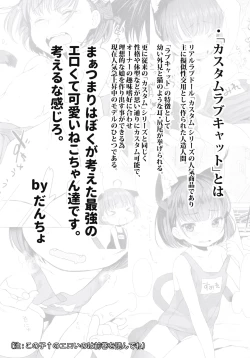 Page 3 of CUSTOMLOVECATs 3rd