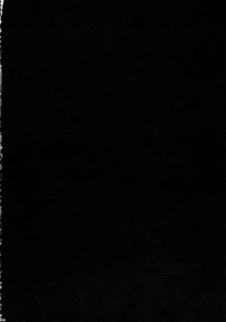 Page 240 of Solo Hunter-tachi no Seitai