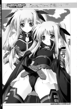 Page 25 of SUMMARY VERSION 2