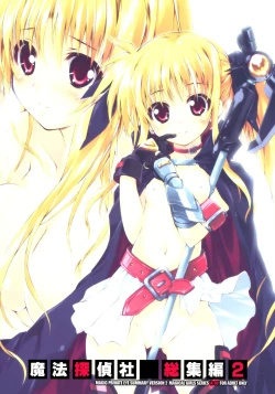 Page 2 of SUMMARY VERSION 2