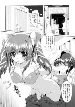 Page 75 of SUMMARY VERSION 2