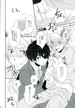 Page 9 of Naifu no Tori Kireina Ishi