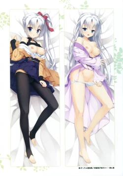 Page 12 of Senren*Banka Official Visual Fan Book