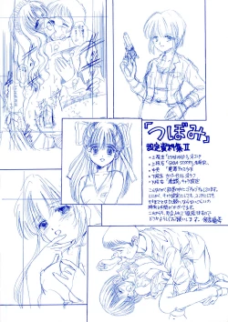 Page 4 of Tsubomi