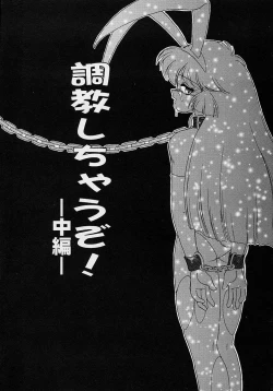 Page 43 of Choukyou Shichau zo