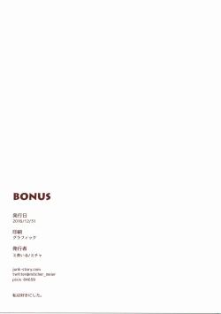 Page 12 of BONUS