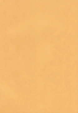 Page 2 of Ochinko Sensei