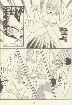 Page 13 of maitenence 2