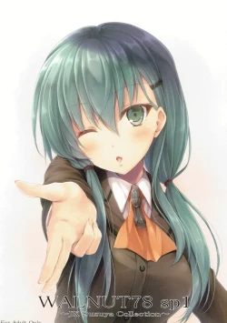 Page 1 of WALNUT78 SP1