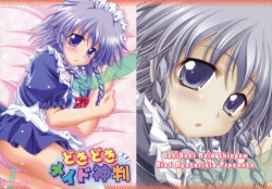 Page 1 of Dokidoki Maid Shinpan