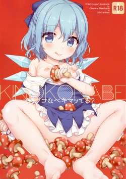 Page 2 of Kinokonabe Kimatteru?