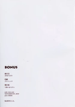 Page 12 of BONUS