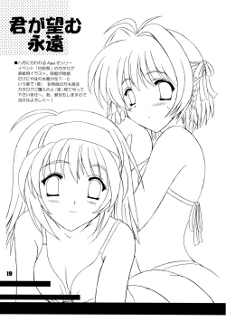 Page 19 of Kirameki