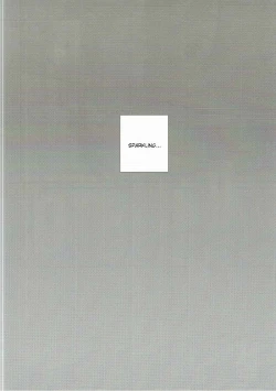 Page 19 of Limit Complex