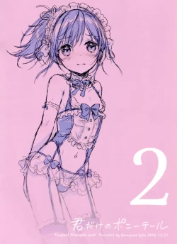 Page 33 of Kimi Dake no Ponytail 2